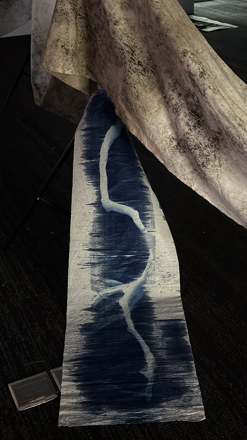 Figure 3: Detail of calico, and cyanotype.